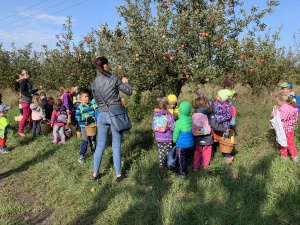 Ve Větrušicích v sadě na jablíčkách